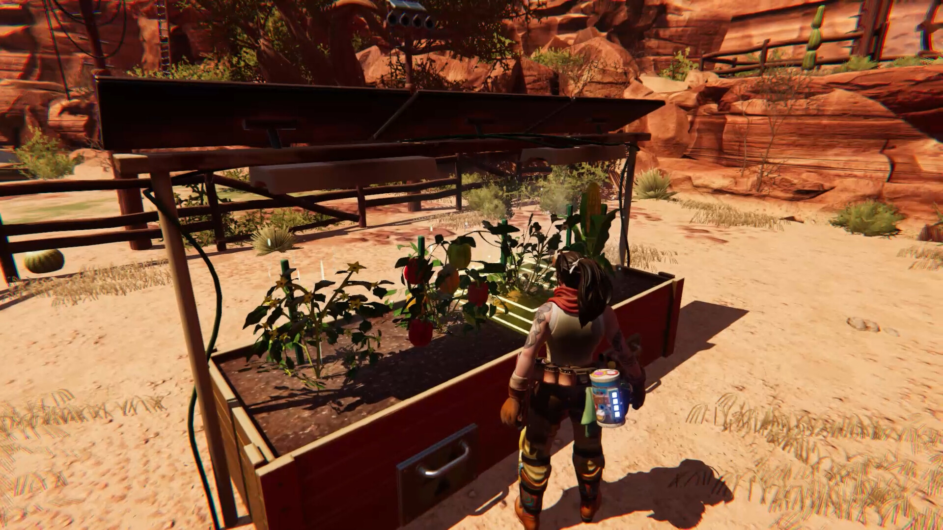 赏金之星/Bounty Star